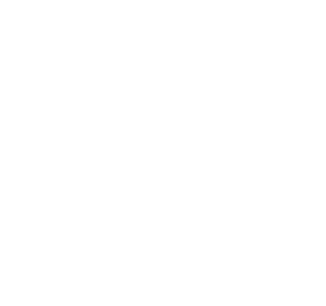 ProMina Agency