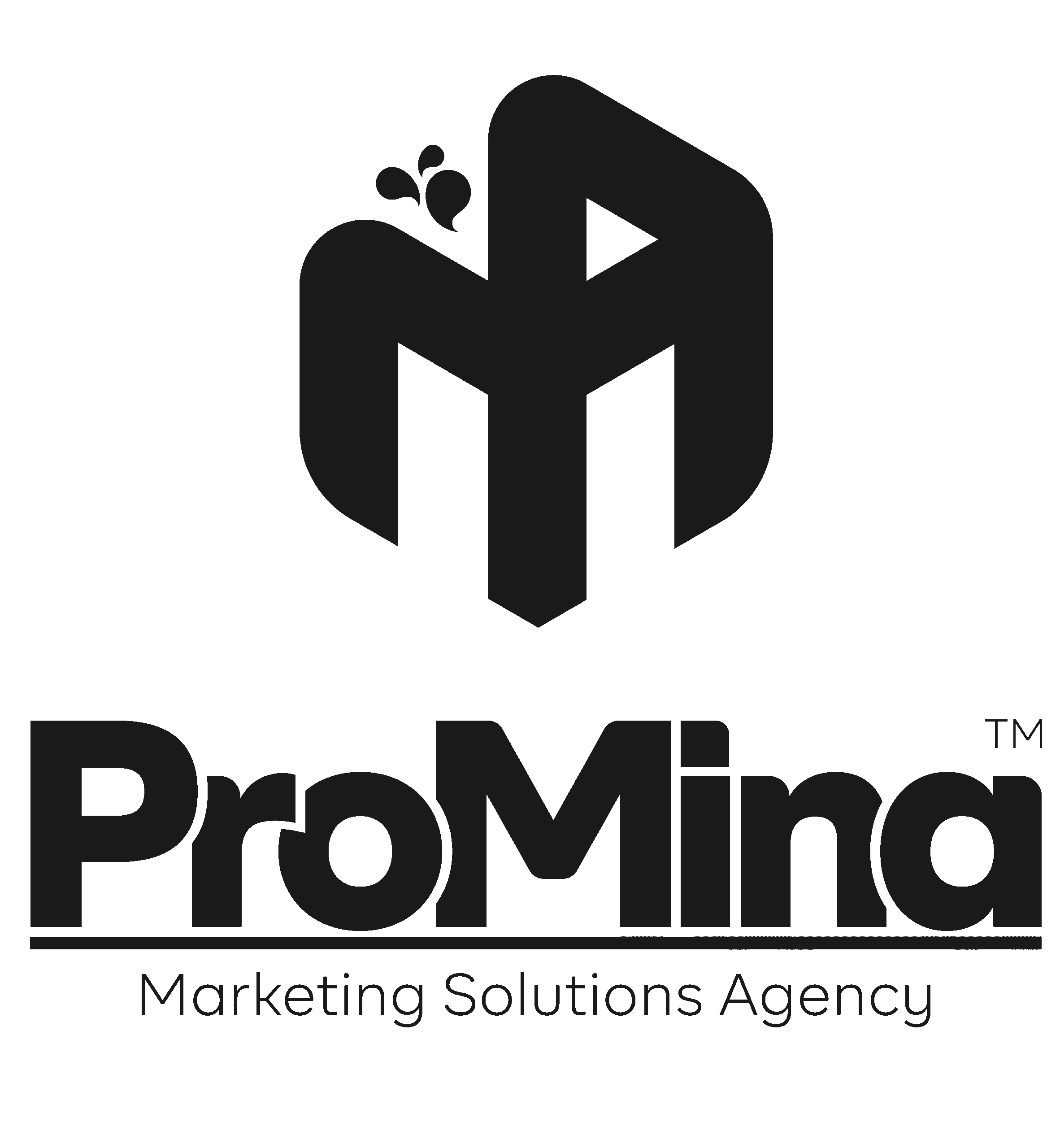 ProMina Agency
